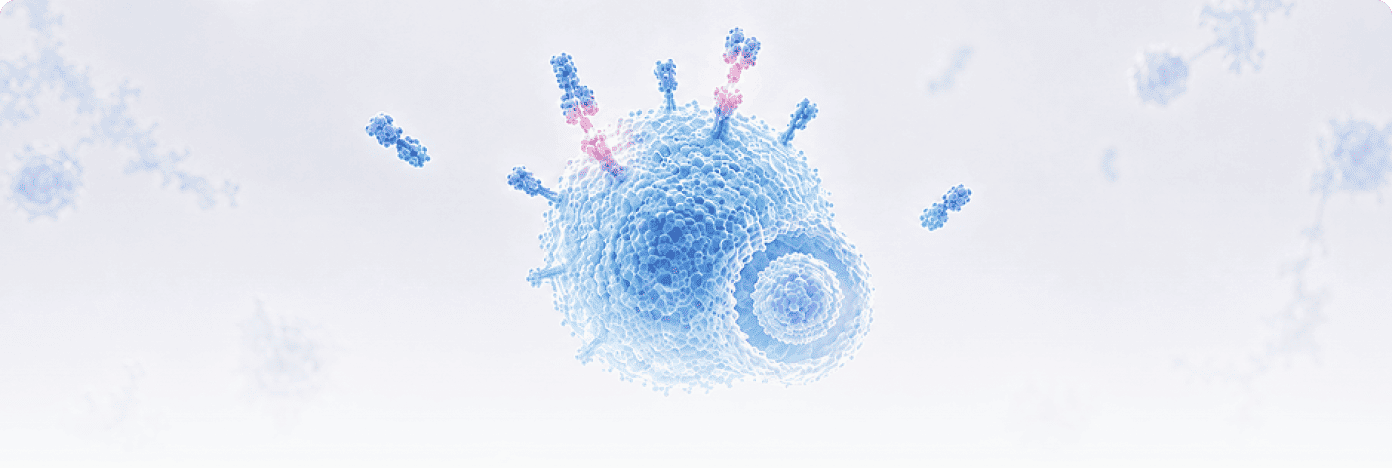 Anti-VHH Antibodies